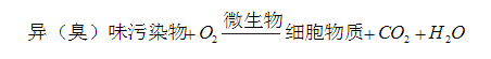 污水臭氣處理系統(tǒng)